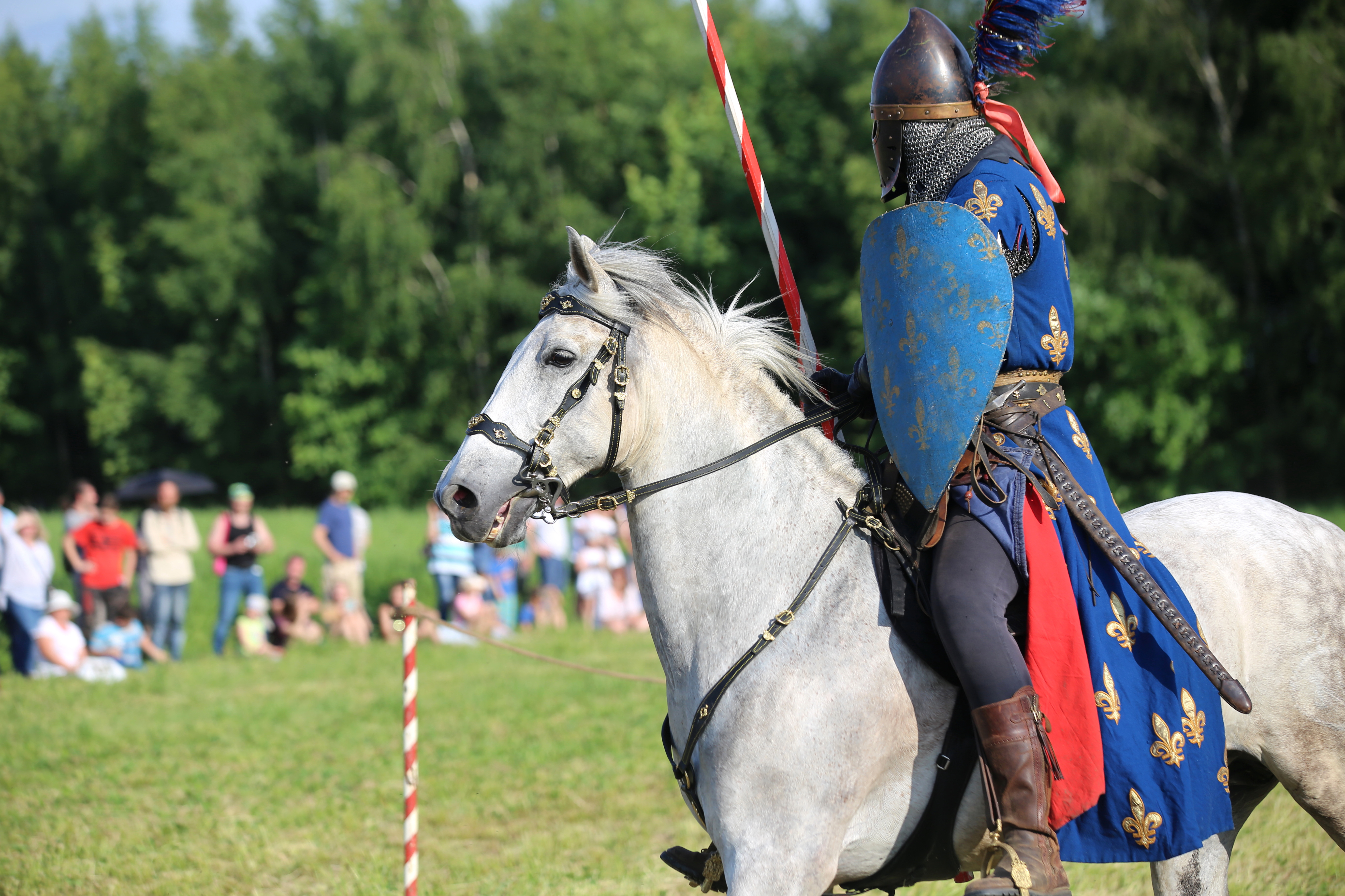 great lakes medieval faire promo code